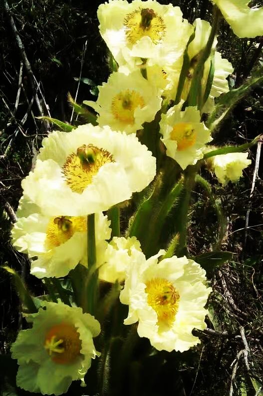 青海之旅，趣事友情闪耀高原日常